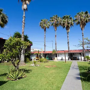 https://finca-la-gaviota-el-granito.in-canary-islands.com